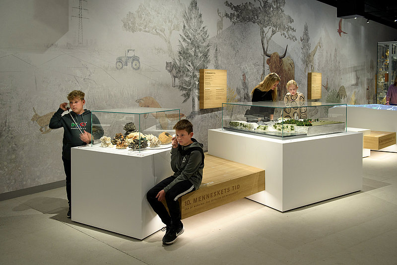 Multifunctional exhibits: