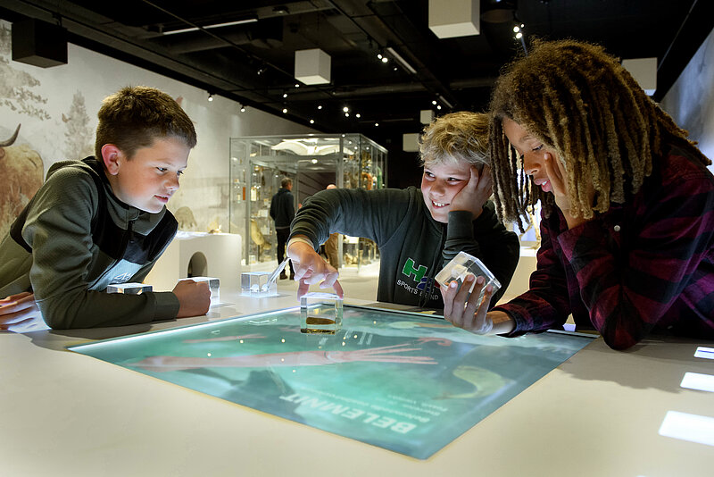 Leiter Ausstellungen Stevns Klint Foundation